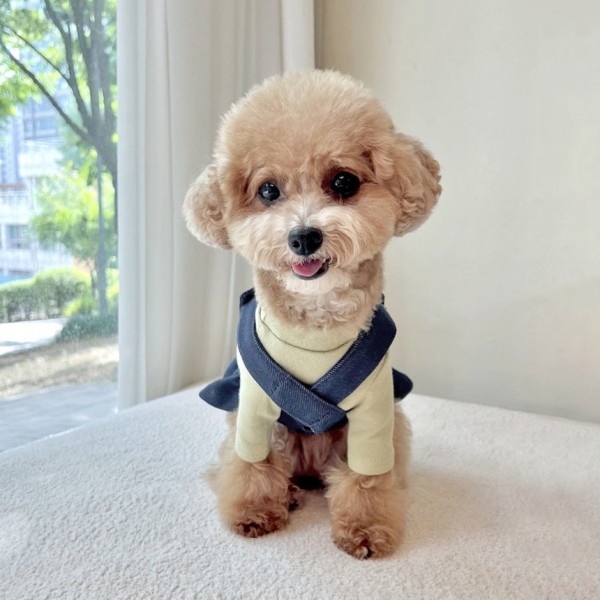 페오펫몰,그루밍독 반려동물 하프넥 포켓 강아지 기본 티셔츠 S-2XL, 4 colors