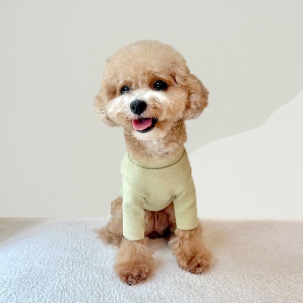 페오펫몰,그루밍독 반려동물 하프넥 포켓 강아지 기본 티셔츠 S-2XL, 4 colors