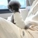 썸네일(스크롤)