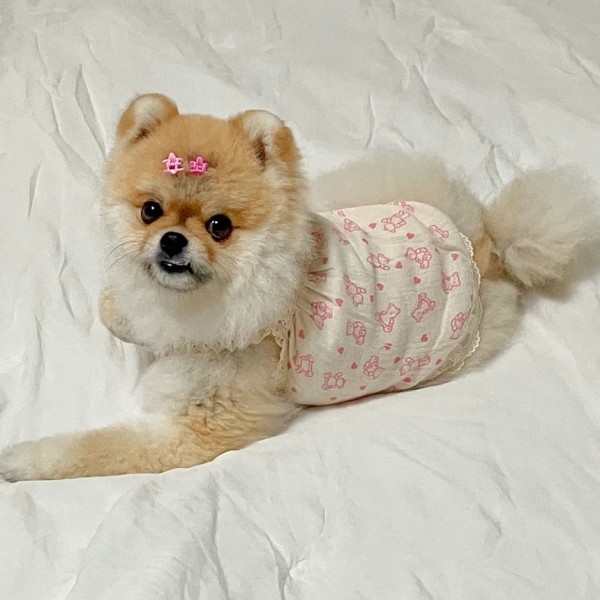 페오펫몰,그루밍독 파자마곰 원피스 S-2XL, 3 colors