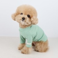 그루밍독 반려동물 소프트와플 기본 티셔츠 S-2XL, 4colors