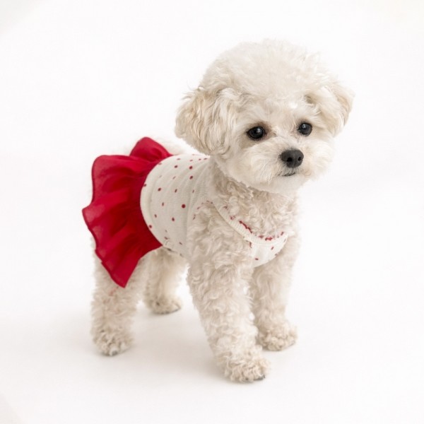 페오펫몰,그루밍독 반려동물 레드도트 원피스 S-XL, 2 colors