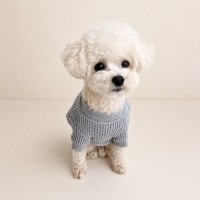 그루밍독 반려동물 올데이 와플 티셔츠 S-2XL, 2 colors