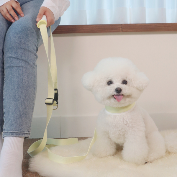 페오펫몰,[댕린이특가]펫베오 5초 리쉬 강아지 순면 핸즈프리 리드줄 리쉬