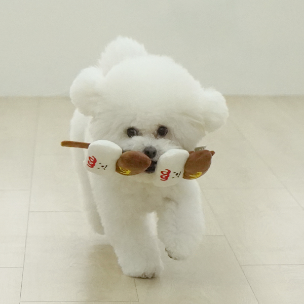 페오펫몰,펫베오 소떡소떡 강아지 노즈워크 삑삑이 장난감