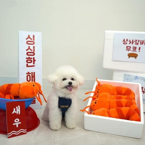 페오펫몰,[댕린이특가]펫베오 버터구이 새우 강아지 노즈워크 장난감