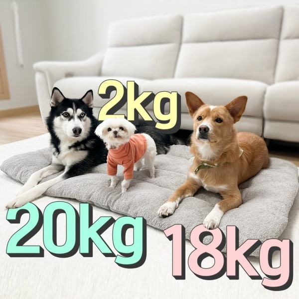 페오펫몰,댕댕이가게 극세사 강아지 애견 방석