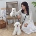 썸네일(스크롤)