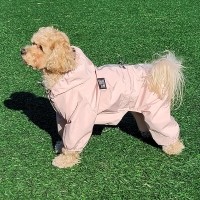 [핫썸머특가] 레토 올인원 강아지 우비 바람막이 애견 비옷 레인코트