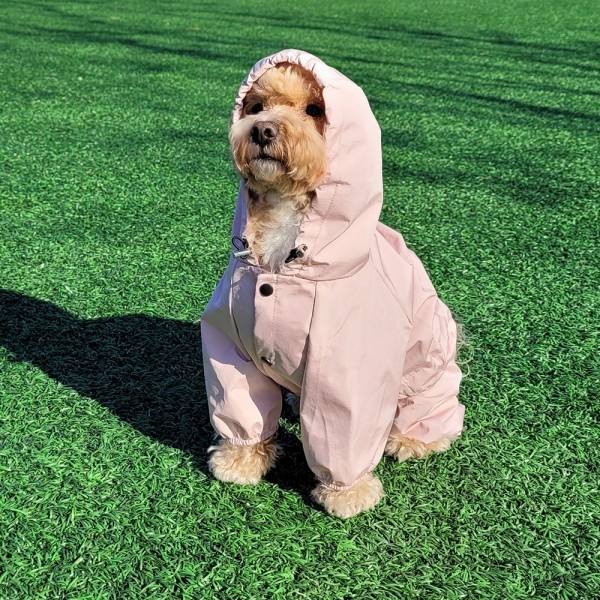 페오펫몰,[핫썸머특가] 레토 올인원 강아지 우비 바람막이 애견 비옷 레인코트