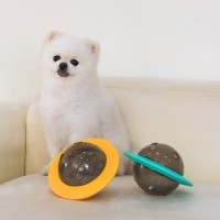 레토 강아지 장난감 노즈워크 우주선 스낵볼