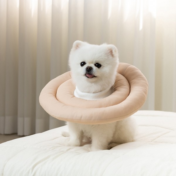 페오펫몰,[행복특가] 레토 강아지 고양이 넥카라 방수 초경량 대형견 소형견 LNC-C01