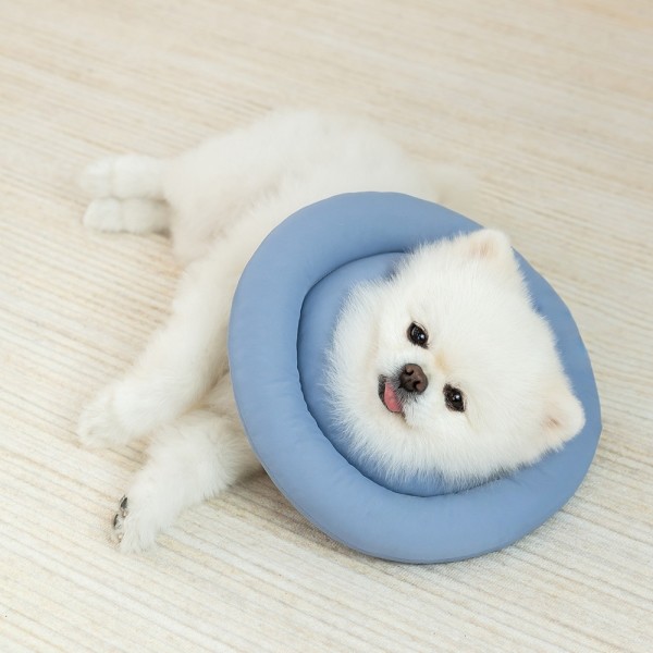 페오펫몰,[행복특가] 레토 강아지 고양이 넥카라 방수 초경량 대형견 소형견 LNC-C01