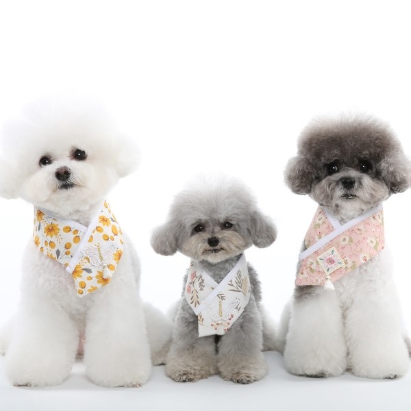 페오펫몰,[리토가토] 단아 한복 케이프 - 4color