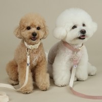 [리토가토] 워키펫 강아지 목줄 - 5 color