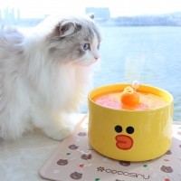 [양육비특가] 라인프렌즈 코코시루 도자기급수기 브라운 샐리 CL2WF 강아지 고양이 정수기