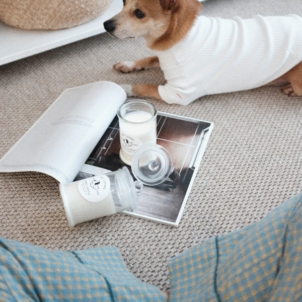 페오펫몰,바크엠마 반려동물 캔들 250g / 강아지 고양이 마조람 오일 캔들 냄새제거 탈취