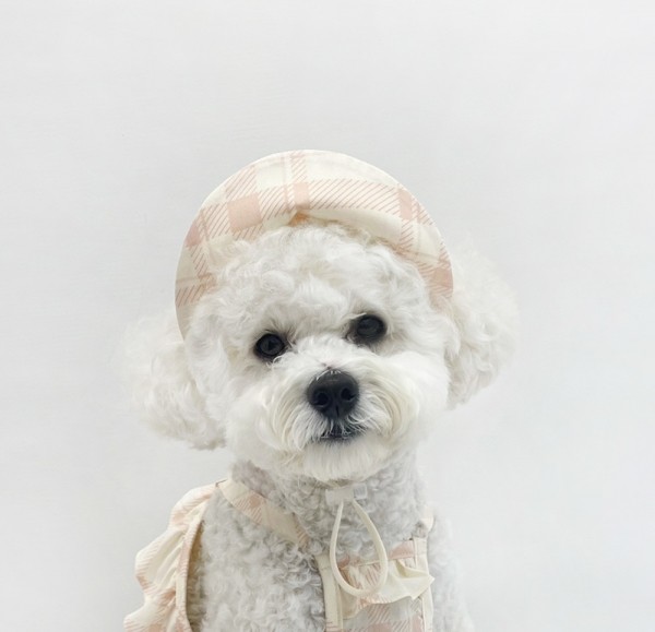 페오펫몰,Creamy puppy hat sun cap 크리미 퍼피햇 썬캡