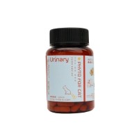 [핫썸머특가]이프애니멀 파이토포캣 유리너리 고양이 요로 결석 방광염 신장 영양제 60캡슐