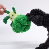 미밍코 브로콜리 강아지 삑삑이 장난감