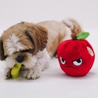 미밍코 사과 강아지 삑삑이 장난감