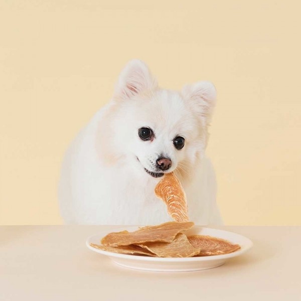 페오펫몰,페슬러 느린육포 닭가슴살 대용량 강아지 고양이 간식