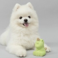 네추라너리쉬 유니콘 덴탈트릿 강아지 장난감