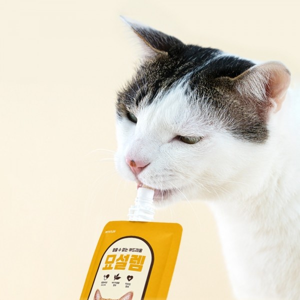 페오펫몰,[페슬러] 고양이 대용량 습식간식 묘설렘 90g (4가지 맛)