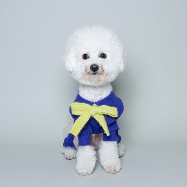 페오펫몰,와이드카라 앙고라 올인원 코발트블루