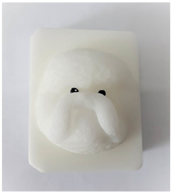 페오펫몰,[버큼아띠강아지비건비누/비숑
