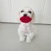 썸네일(스크롤)