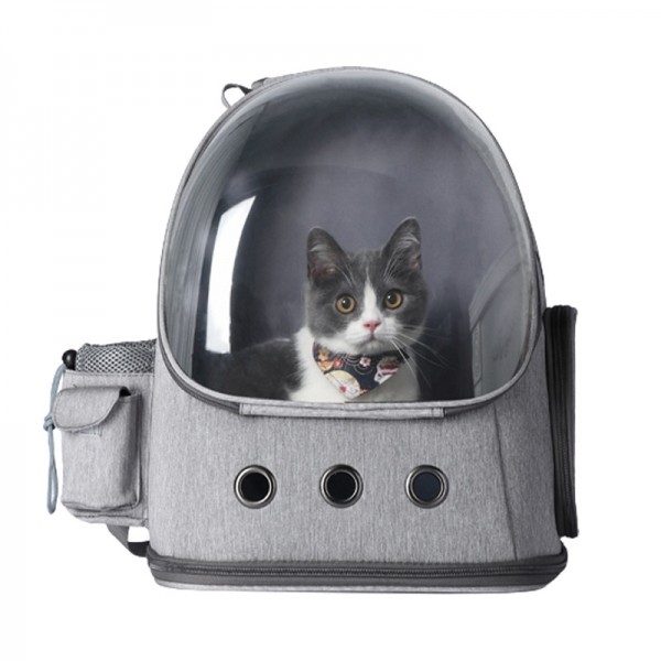 펫포에버 강아지 투명 백팩 고양이 우주선 가방 강아지 배낭