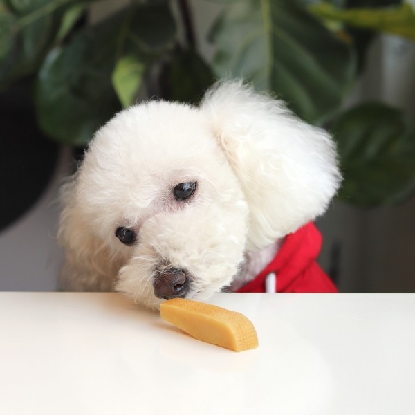 페오펫몰,[오래오래프로젝트] 히말라야 야크치즈 S