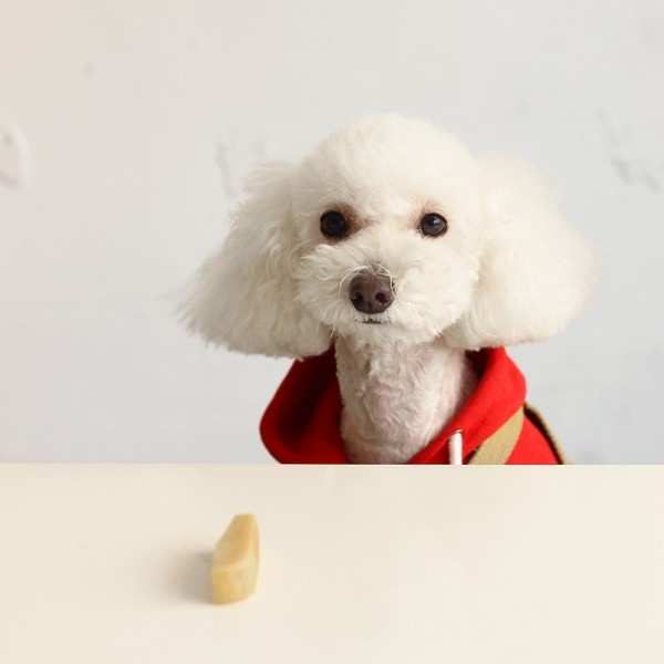 페오펫몰,[오래오래프로젝트] 히말라야 야크치즈 M