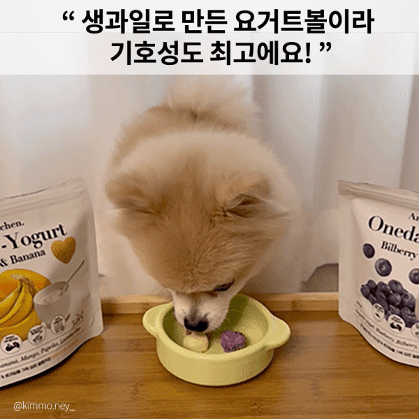 페오펫몰,[알로키친] 강아지 유기농 생과일 요거트 4종 #범산목장 #유산균