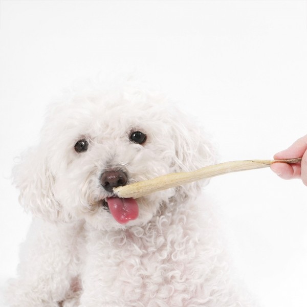 페오펫몰,[오래오래프로젝트] 국내산 통장어스틱 100% (30g)