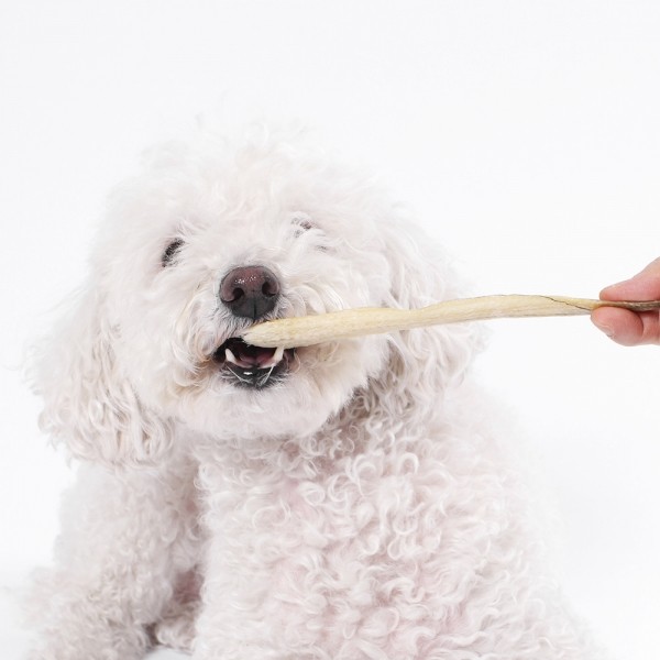 페오펫몰,[오래오래프로젝트] 국내산 통장어스틱 100% (30g)