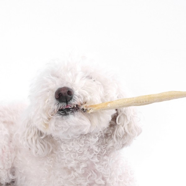 페오펫몰,[오래오래프로젝트] 국내산 통장어스틱 100% (30g)