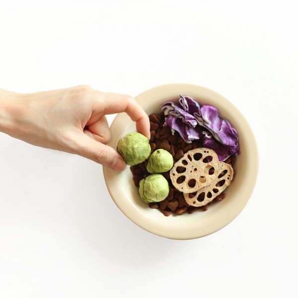 페오펫몰,[2개세트] 알로키친 알로칩스 베지믹스 #제주구좌당근 #단호박 #방울양배추