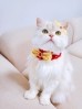 썸네일(스크롤)