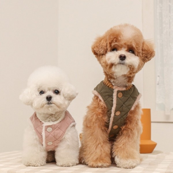 페오펫몰,에덴숑 퍼스트ver2