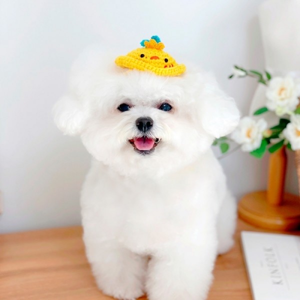 페오펫몰,러브핫핏 [개린이&냥린이]병아리 뜨개모자
