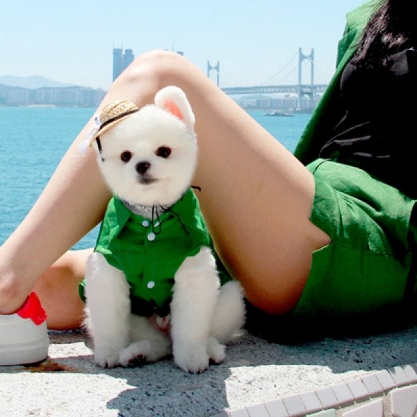 페오펫몰,러브핫핏 린넨 셔츠 LINEN SHIRT[GREEN]