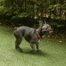 썸네일(스크롤)