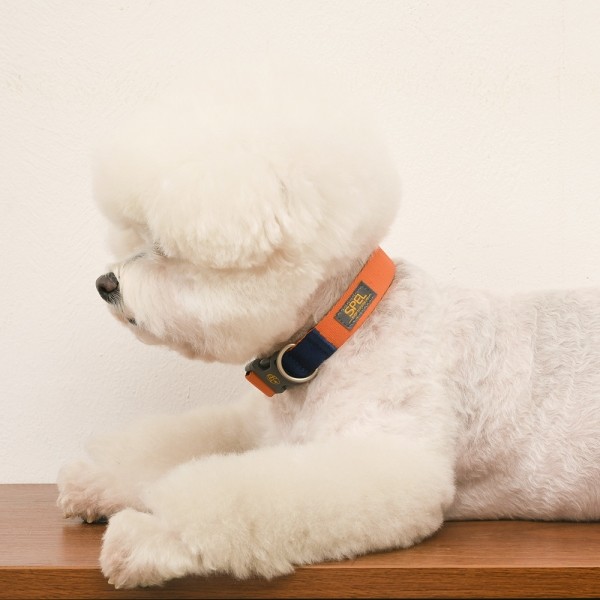 페오펫몰,[SPEL] 스펠 비비팝 베이직칼라 오렌지 (ORANGE)