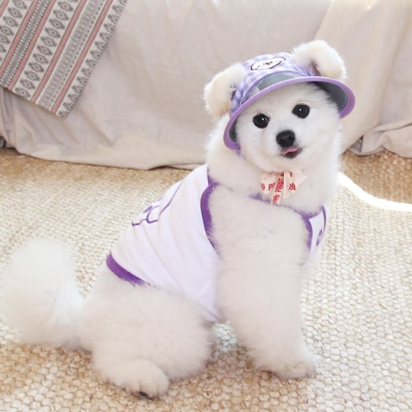 페오펫몰,[오드펫]또또또 친구들 체크 UV썬캡 오댕