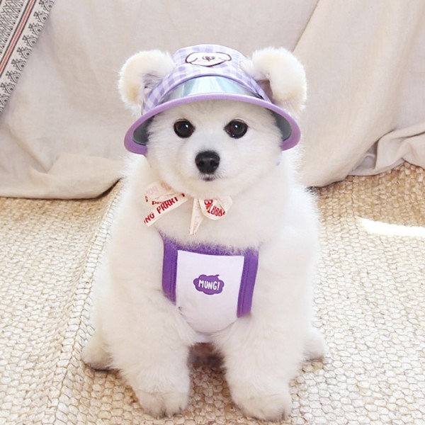 페오펫몰,[오드펫]또또또 친구들 체크 UV썬캡 오댕