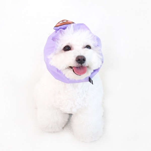 페오펫몰,[오드펫] 또또또 친구들 방수헤어밴드_누또