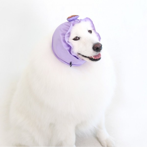 페오펫몰,[오드펫] 또또또 친구들 방수헤어밴드_누또