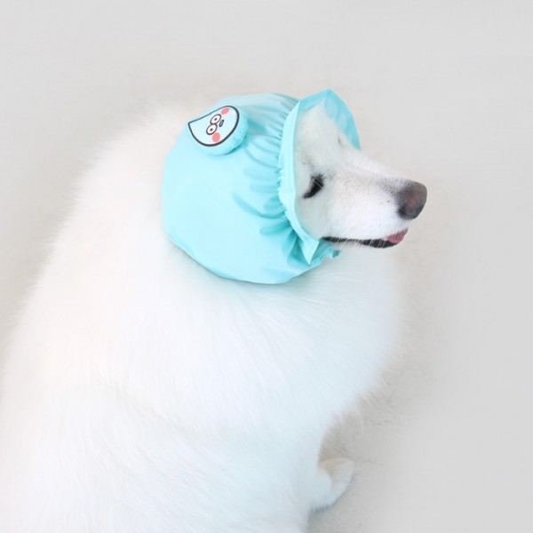 페오펫몰,[오드펫] 또또또 친구들 방수헤어밴드_해또